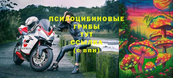 дмт Алзамай
