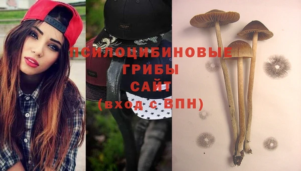шишки Алексин