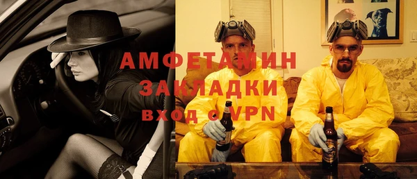 шишки Алексин