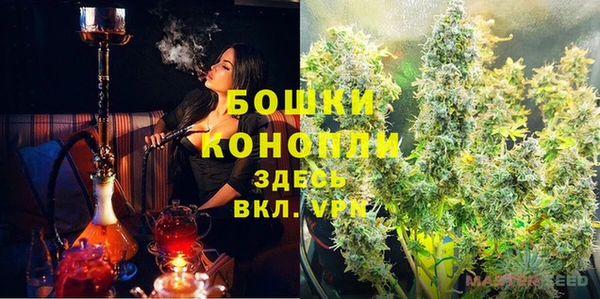 шишки Алексин