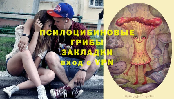 дмт Алзамай